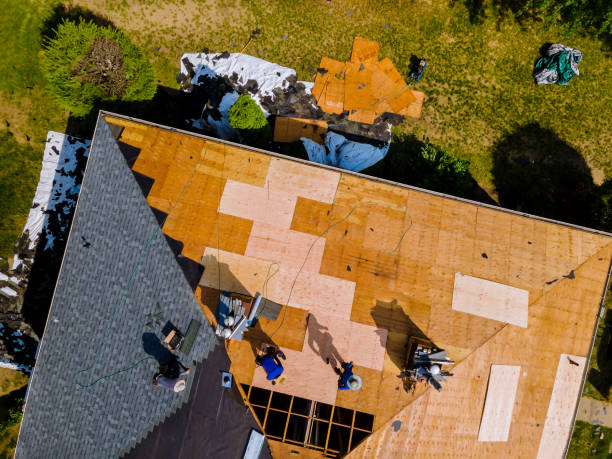 Best Flat Roof Repair Services  in Delphi, IN