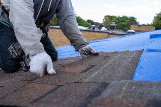 Best Local Roofing Companies  in Delphi, IN